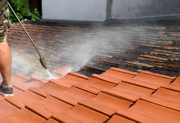 Best Deck Cleaning Services  in Mcgaheysville, VA