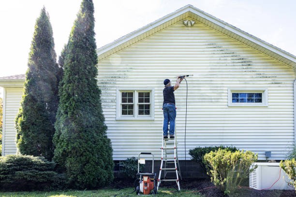 Why Choose Our Certified Pressure Washing Experts for Your Project Needs in Mcgaheysville, VA?