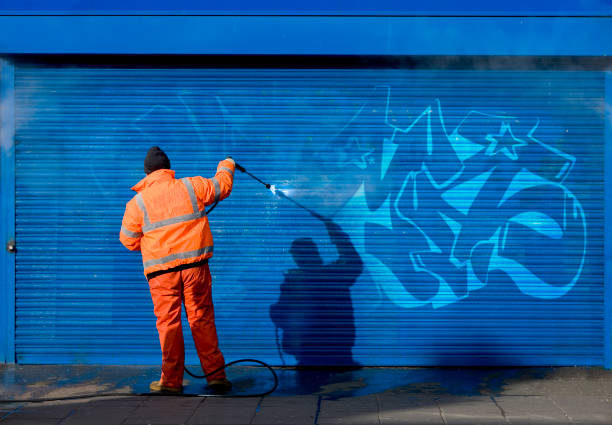 Best Best Pressure Washing Companies  in Mcgaheysville, VA